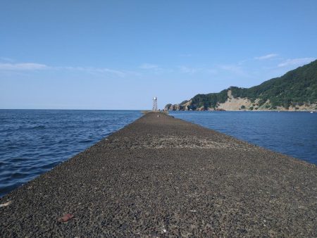 エギングロッドでちょい投げ